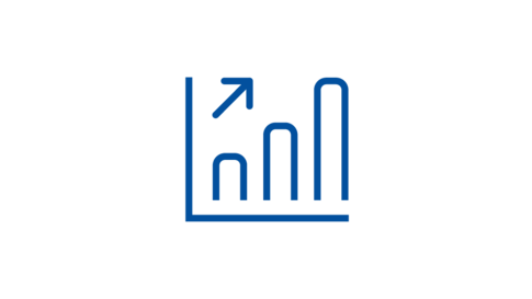 Physik Instrumente Icon Profitability