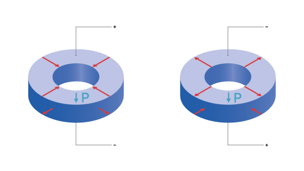 Shear rings: Shear displacement due to the shear effect